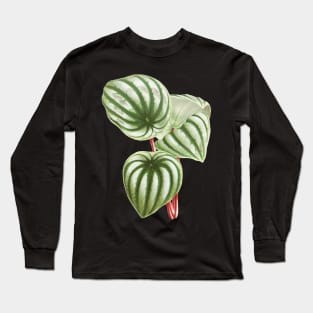 Watermelon Peperomia - Botanical Illustration Long Sleeve T-Shirt